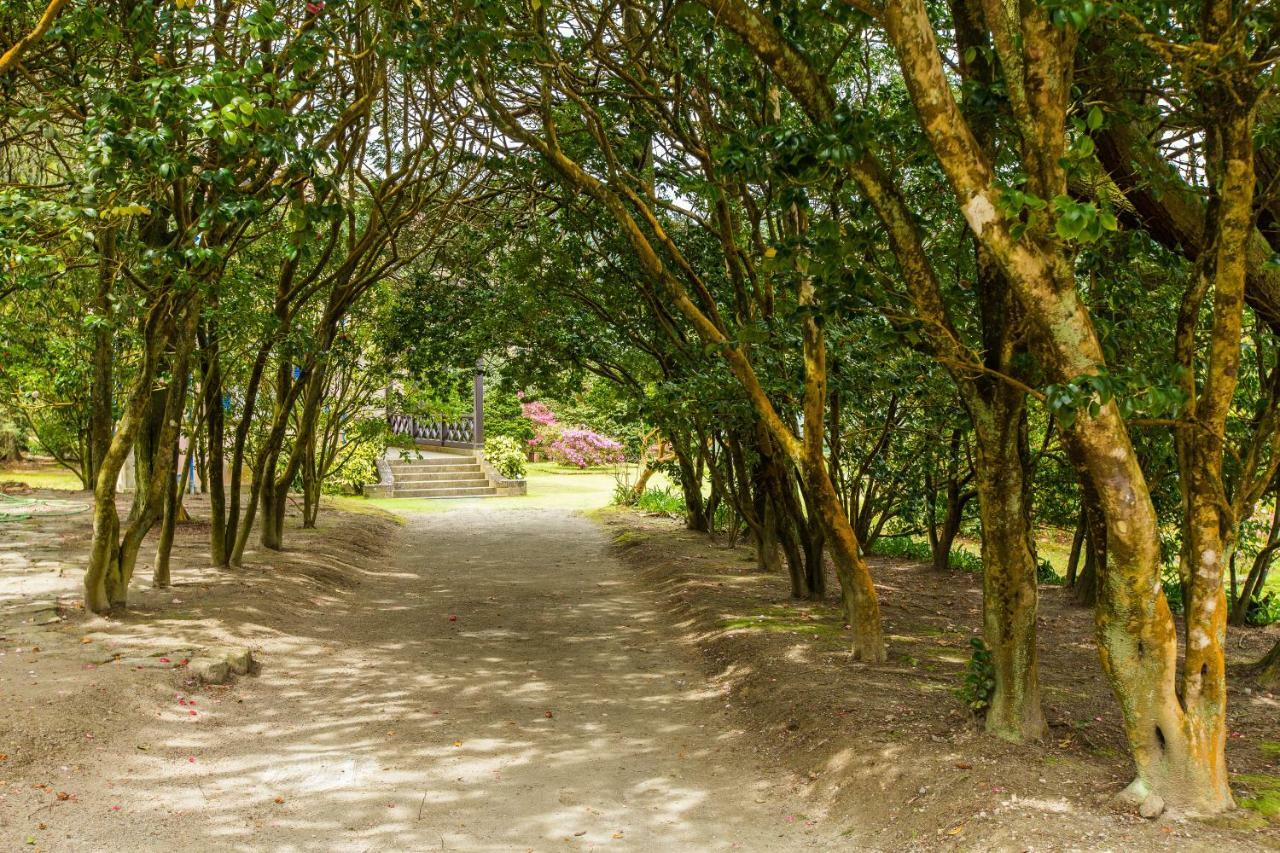 Casa Dos Barcos Furnas Konuk evi Dış mekan fotoğraf